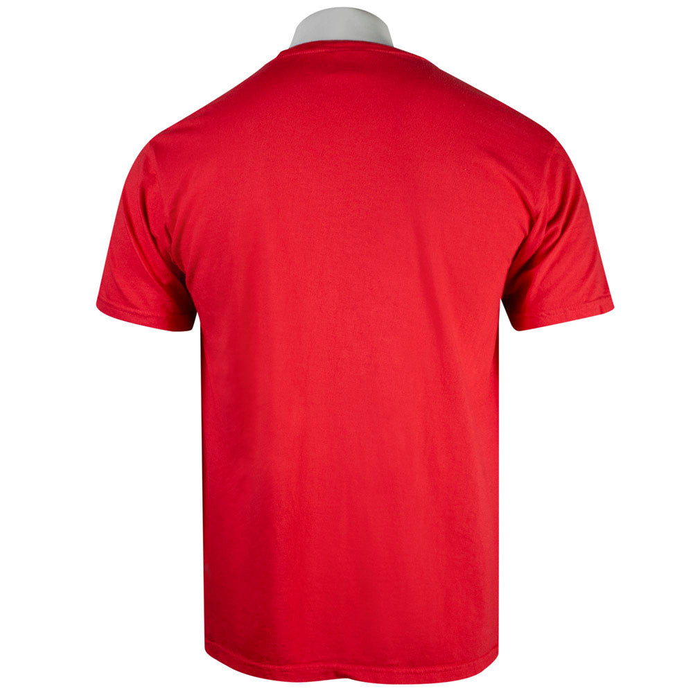 Back of a red t-shirt.